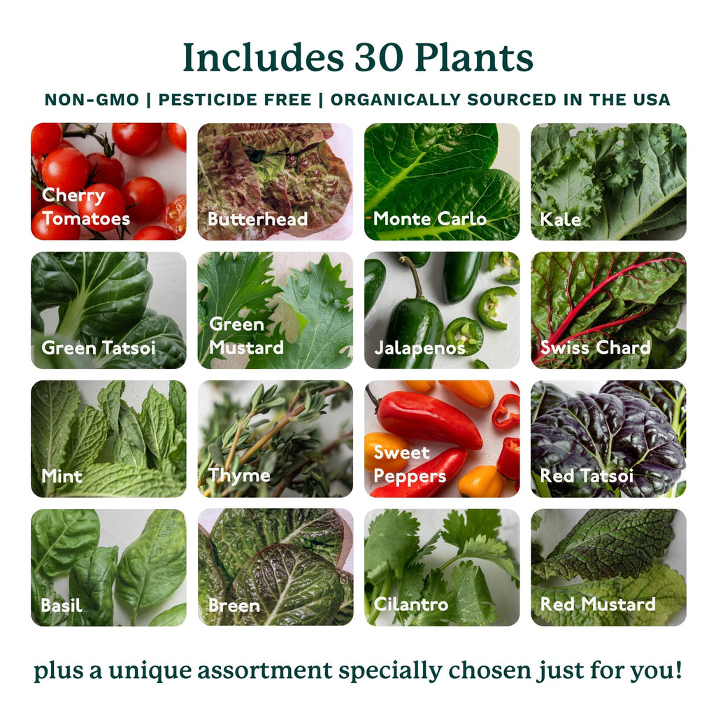 Home 4 Vertical Hydroponics Growing System Kit - 30 Plants